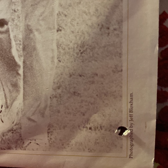 COPY - Goerge Harrison self titled vinyl - Picture 7 of 9